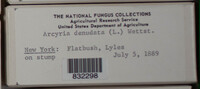 Image Associated With the Occurence